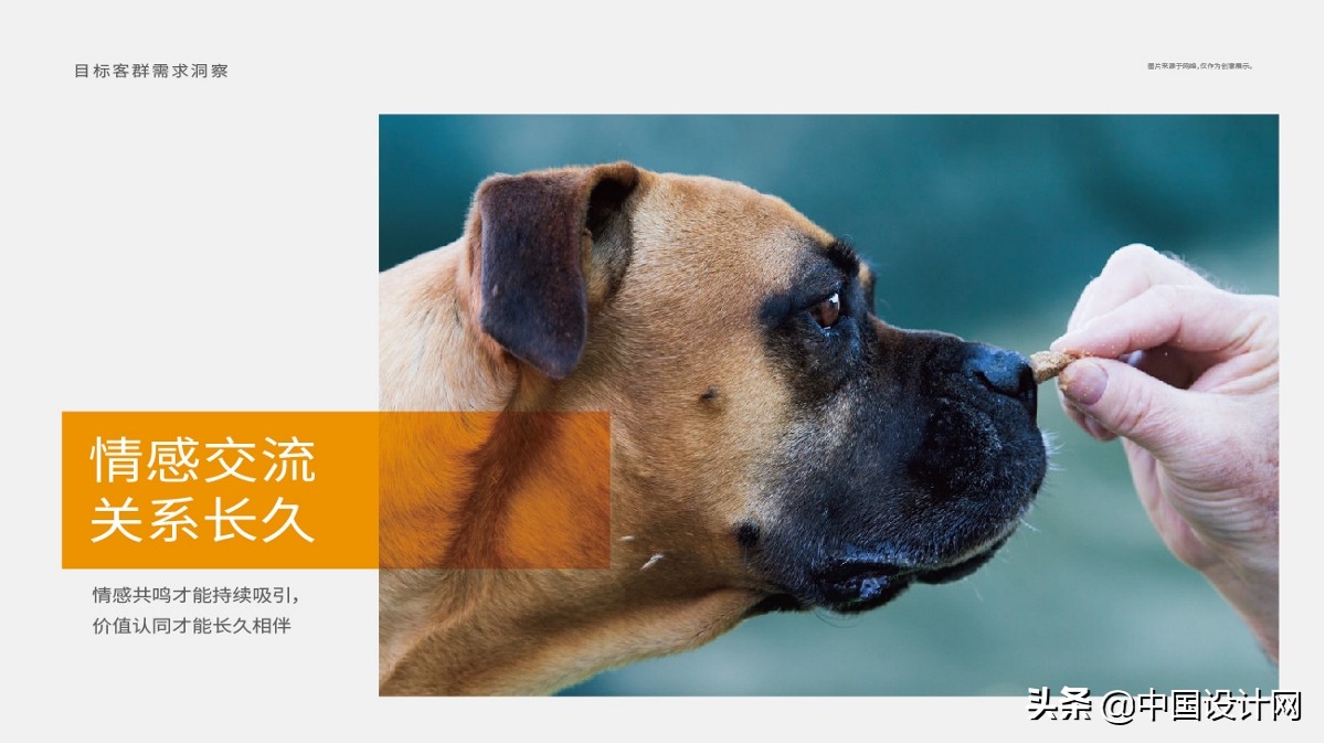 钃濇皬鐚伯鍖呰璁捐,鐚伯鐙楃伯绯诲垪鍖呰璁捐鐞嗗康