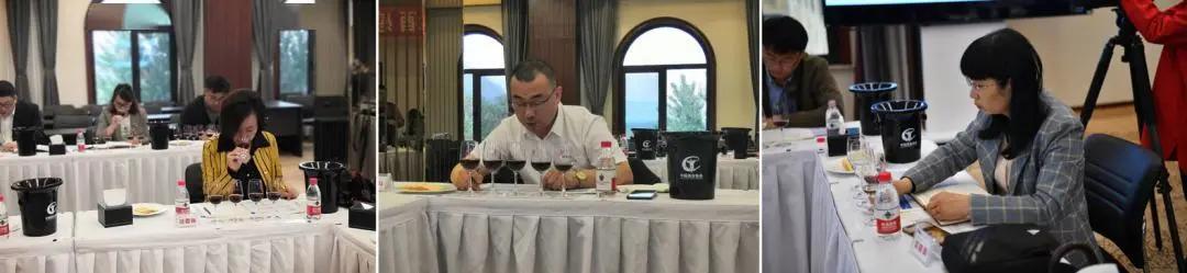 尼雅葡萄酒2015,尼雅葡萄酒对比进口葡萄酒