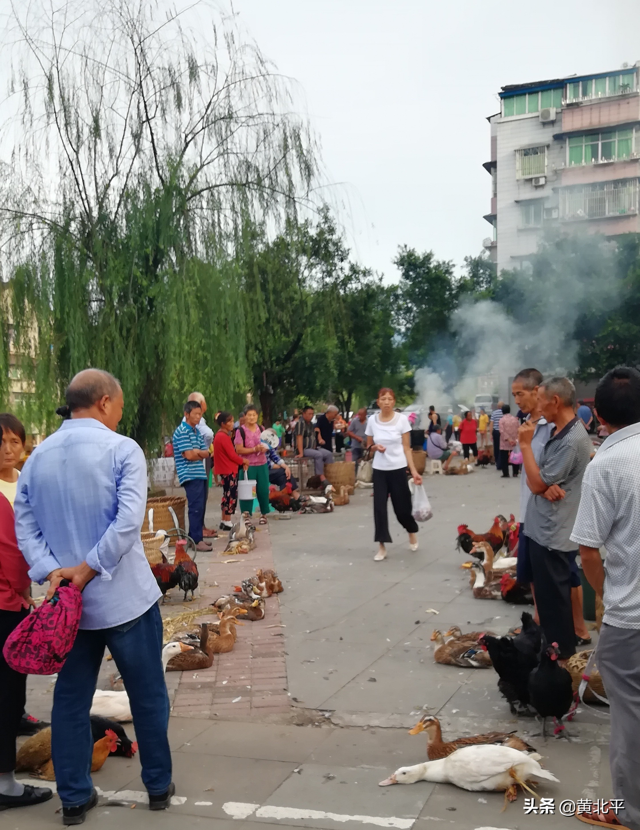 重庆市长寿区乡镇一哥,在现代与传统的冲击下依旧保持民俗