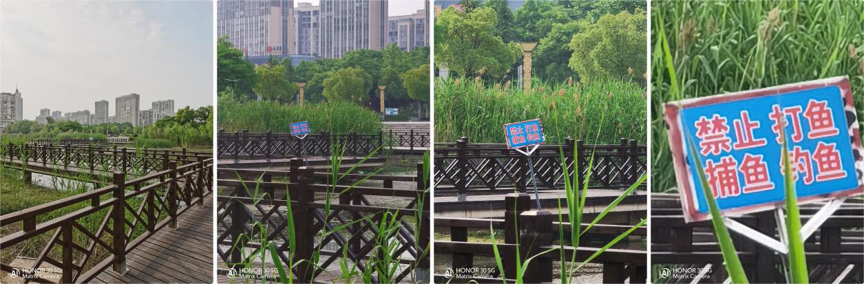 荣耀30怎么样实际测评来揭晓答案,荣耀30测评值得入手吗