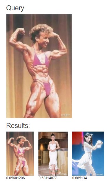 以图搜图实现思路,给自己的网站做一个以图搜图功能