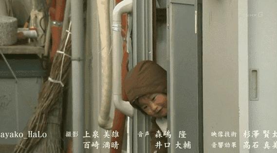 日本高分纪录片免费观看,日本的高分纪录片