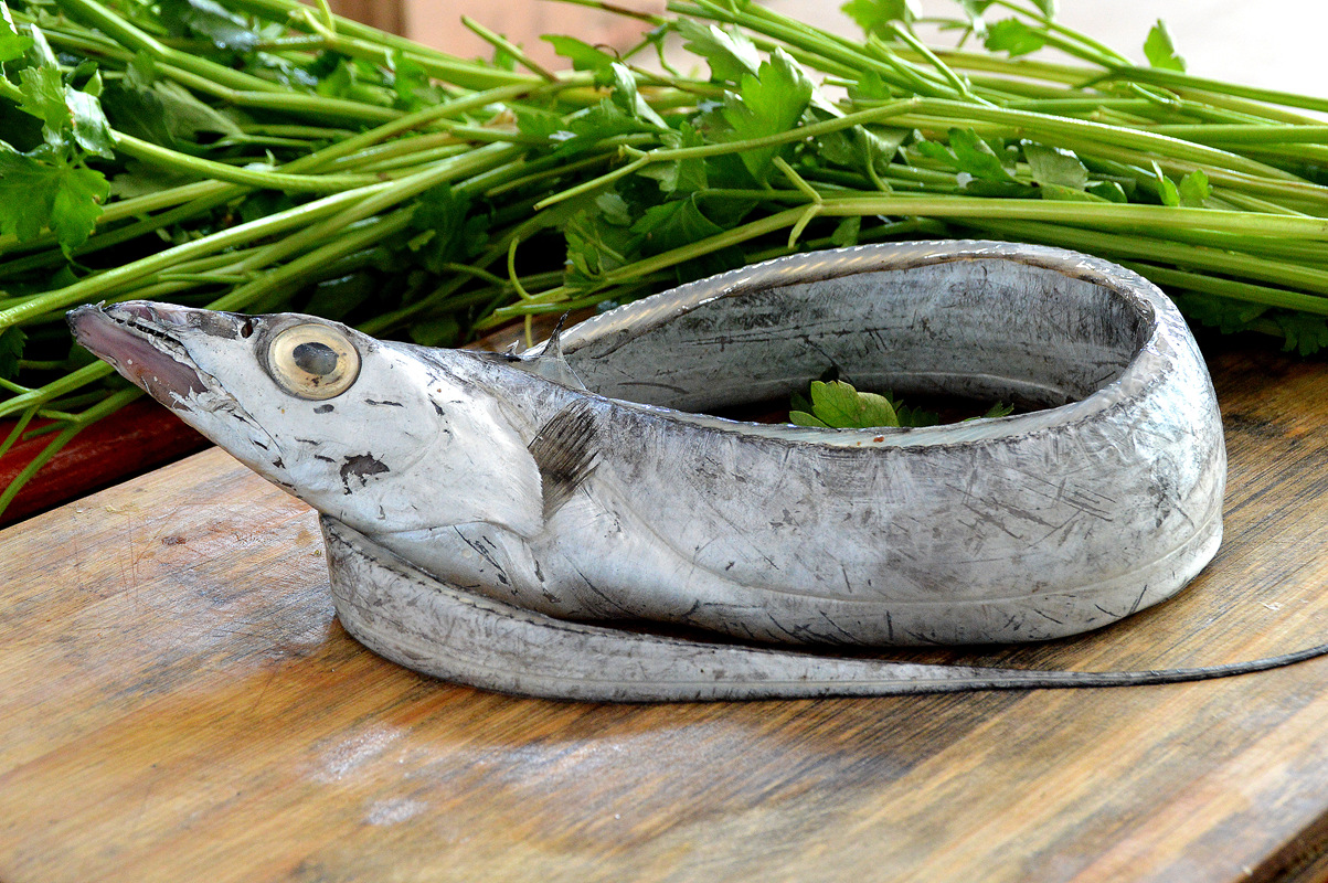 带鱼为什么价格差这么多,带鱼段和带鱼为什么价格差那么多