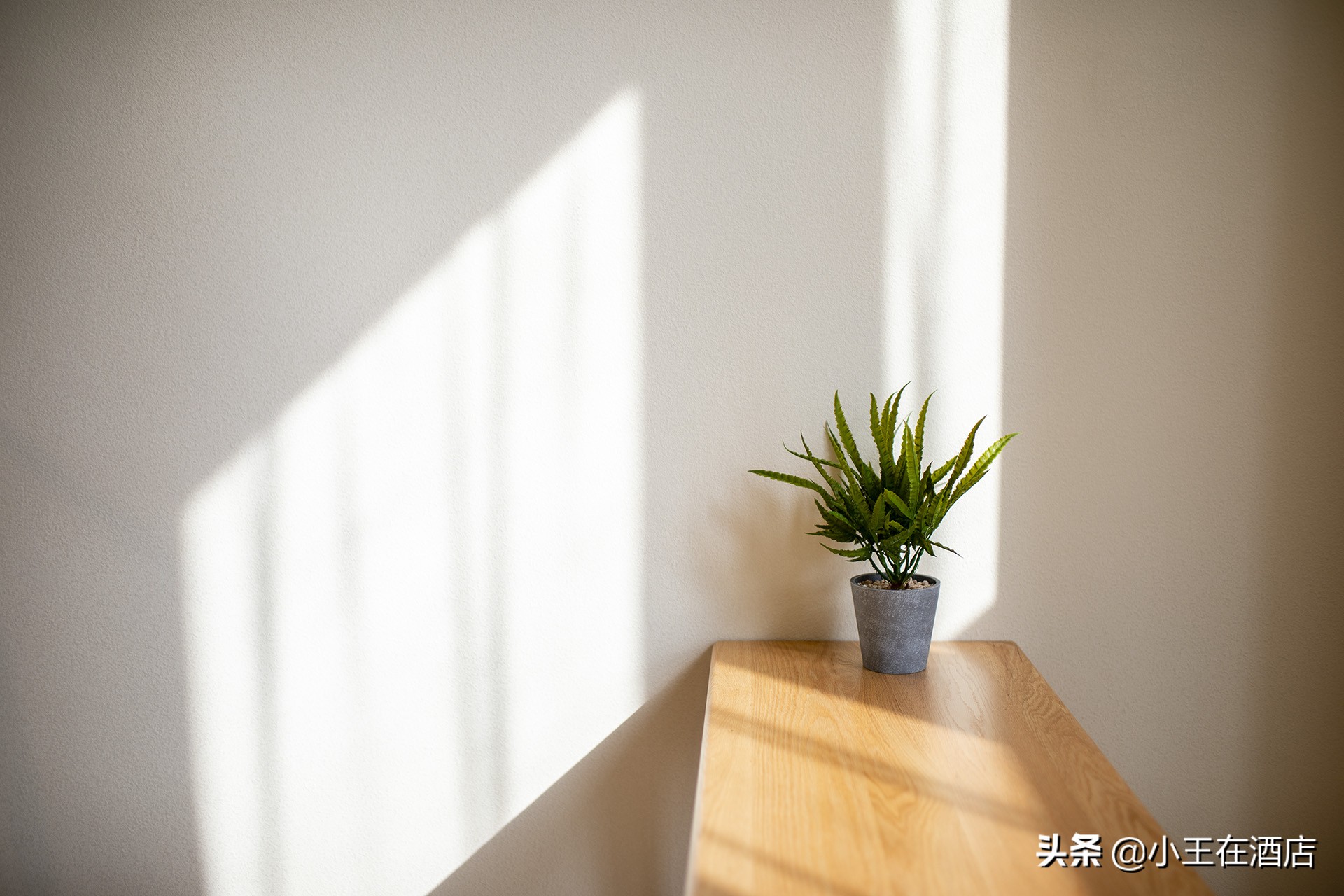 单体酒店和连锁酒店优劣势对比图,中端酒店发展趋势