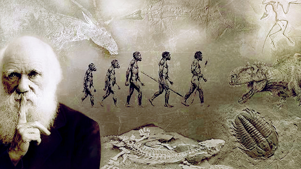 人类发源地认定,科学家确定人类的发源地