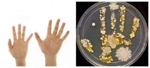 护手美肤又除菌,这才是洗手液的最高配置!