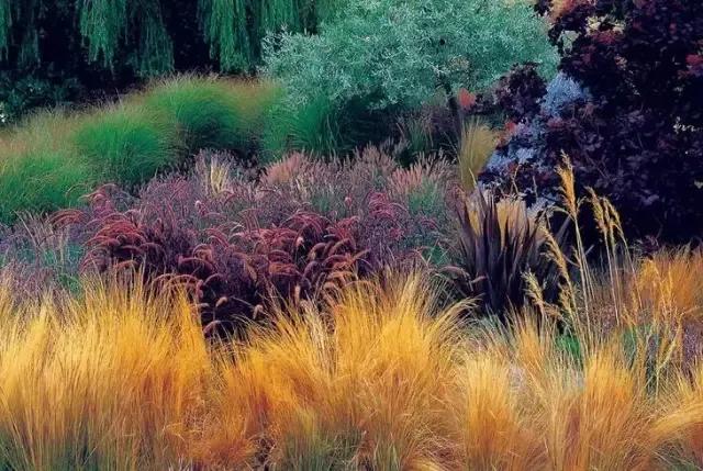 秋日就是收获的季节,秋日是个浪漫的季节