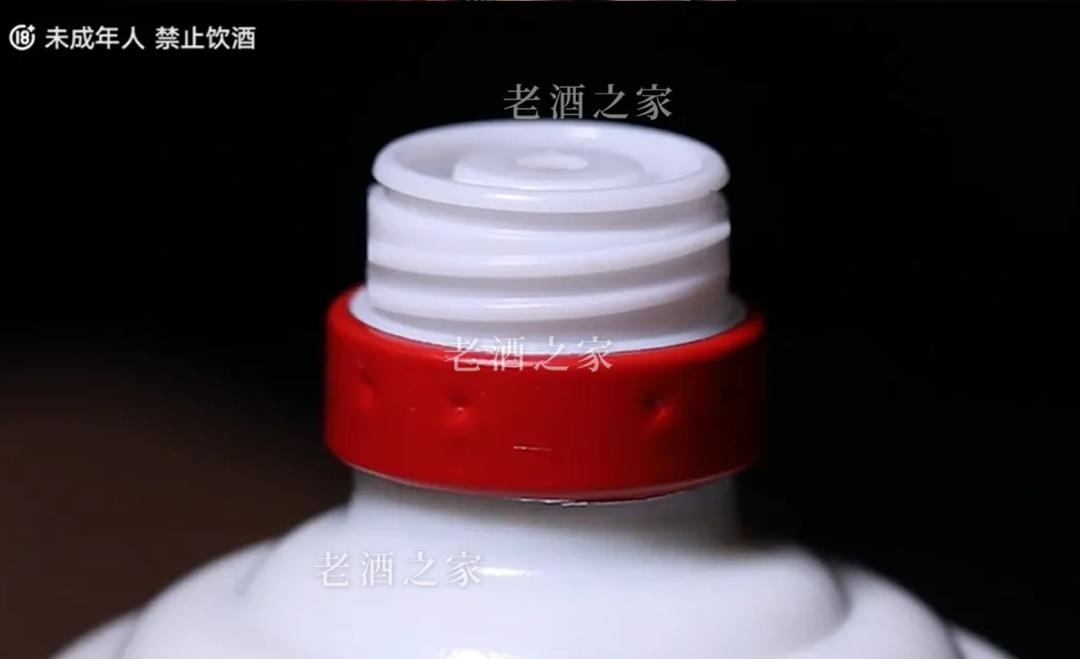 茅台倒灌技术视频,茅台防回灌技术