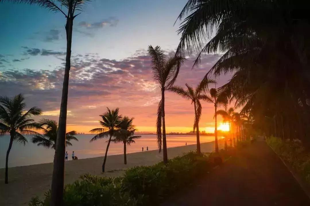 天津出发十一月的特价机票,六月份天津哪里的机票最便宜