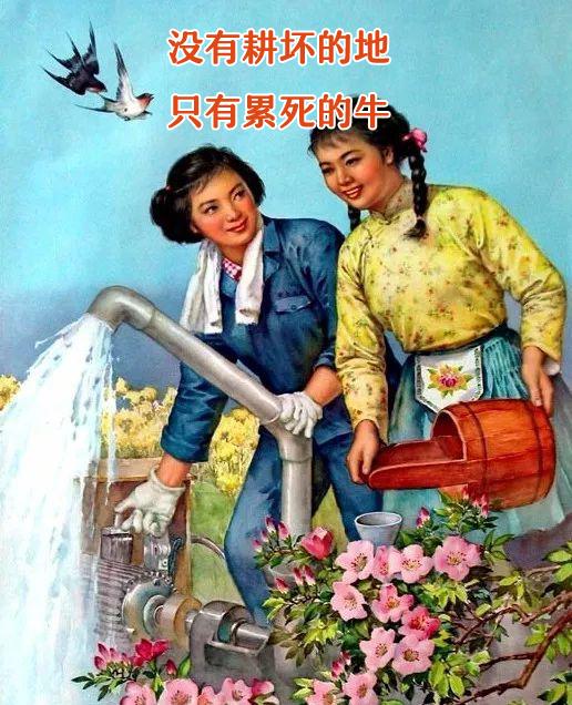 有人一啪就中，但这类人流产率竟高达88%！别慌能救！