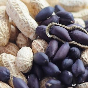 粤西茂名市十大暴利种植药材,十大暴利种植行业排行第一