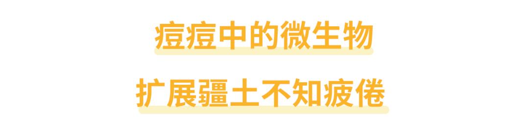痘痘能不能挤会不会留坑,痘痘到底能不能挤