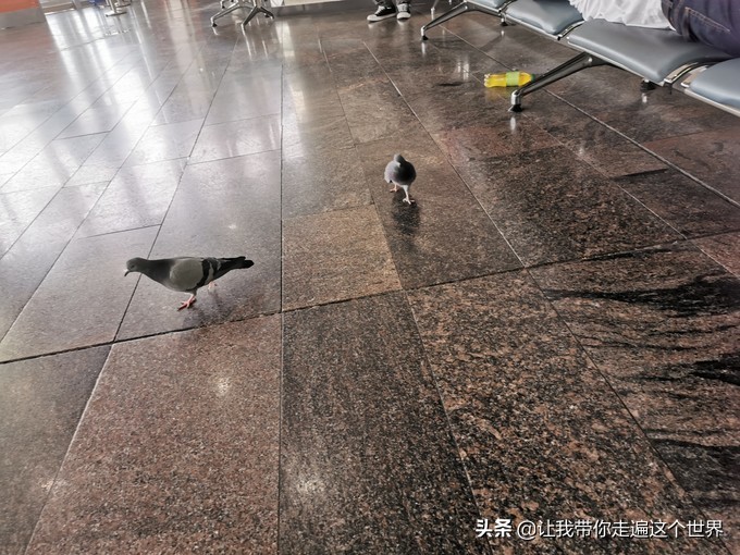 首都t2登机,首都t2国际到达接机