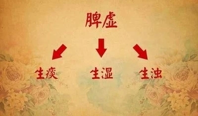 脾对女人的重要性,脾是后天之本气血生化之源