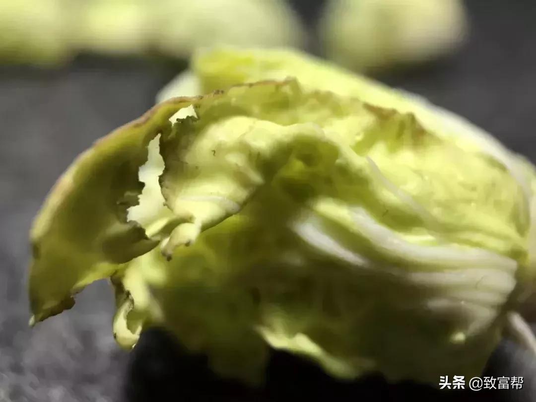 90后母亲被骗,90后妈妈因造假走红