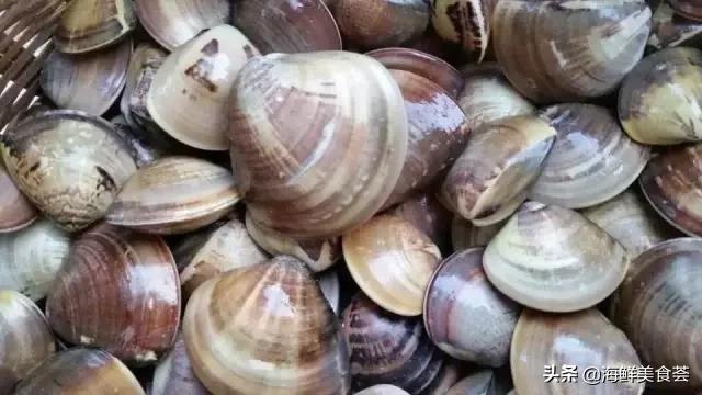 常见的鱼虾蟹等海鲜的认识,虾蟹类海鲜大全