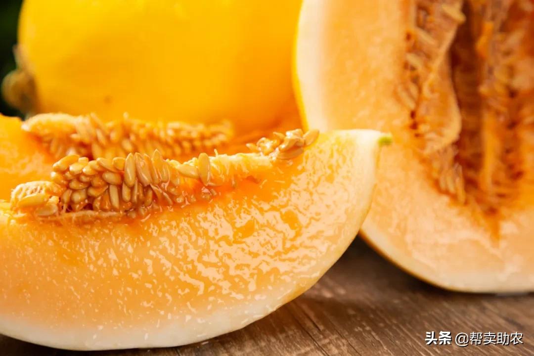 又香又甜又脆的蜜瓜,甜而不腻的蜜瓜好吃到停不下来