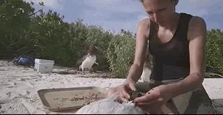 彭于晏苏有朋,彭于晏和苏有朋