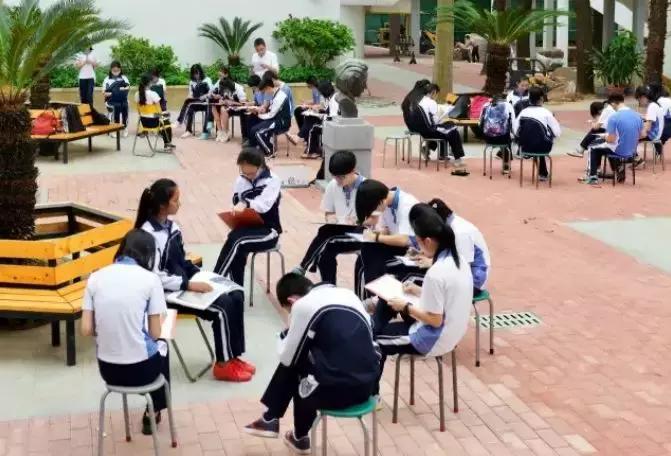 育才中学最后的冲刺,育才中学2019年小升初