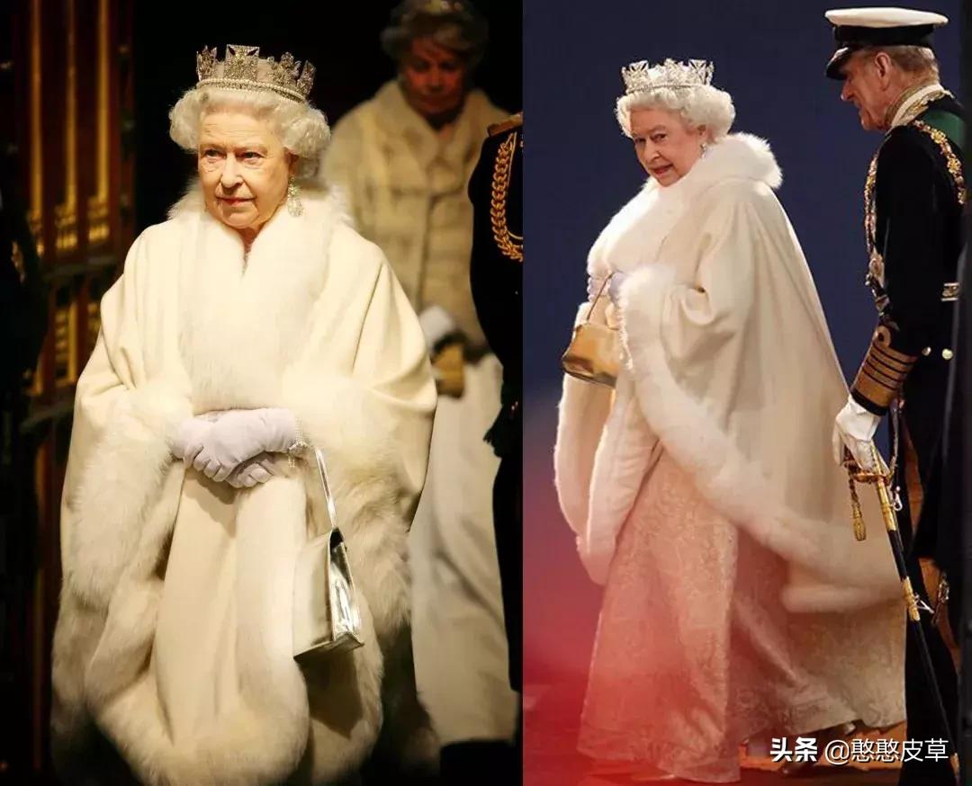 獭兔皮草怎么分辨是真是假,兔毛皮草怎么鉴别真假