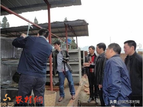 农村赚钱致富好项目大全,农村2023年有哪些项目可以致富