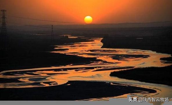 智慧牧业｜朱合作：谜语之树