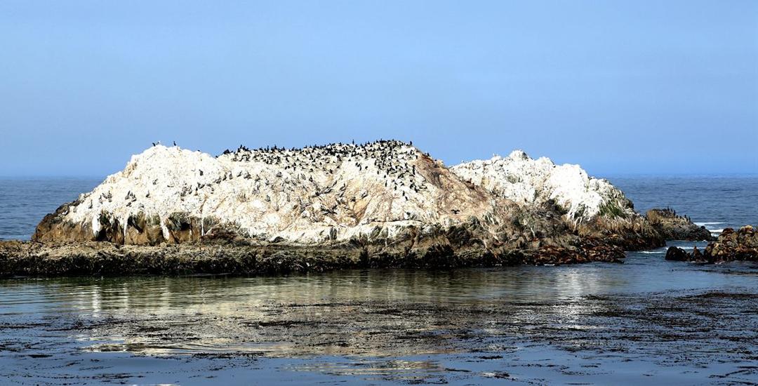 磷的科普视频,磷元素怎么发现的
