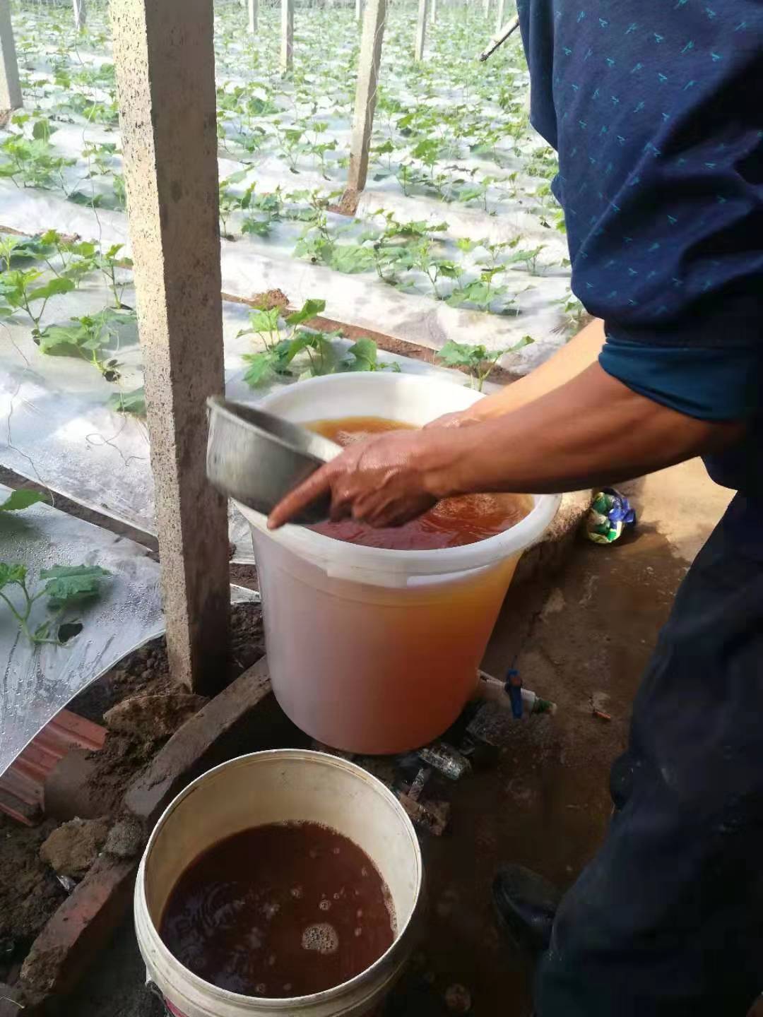 什么作物可以用黑地膜,夏季露地能覆黑地膜吗