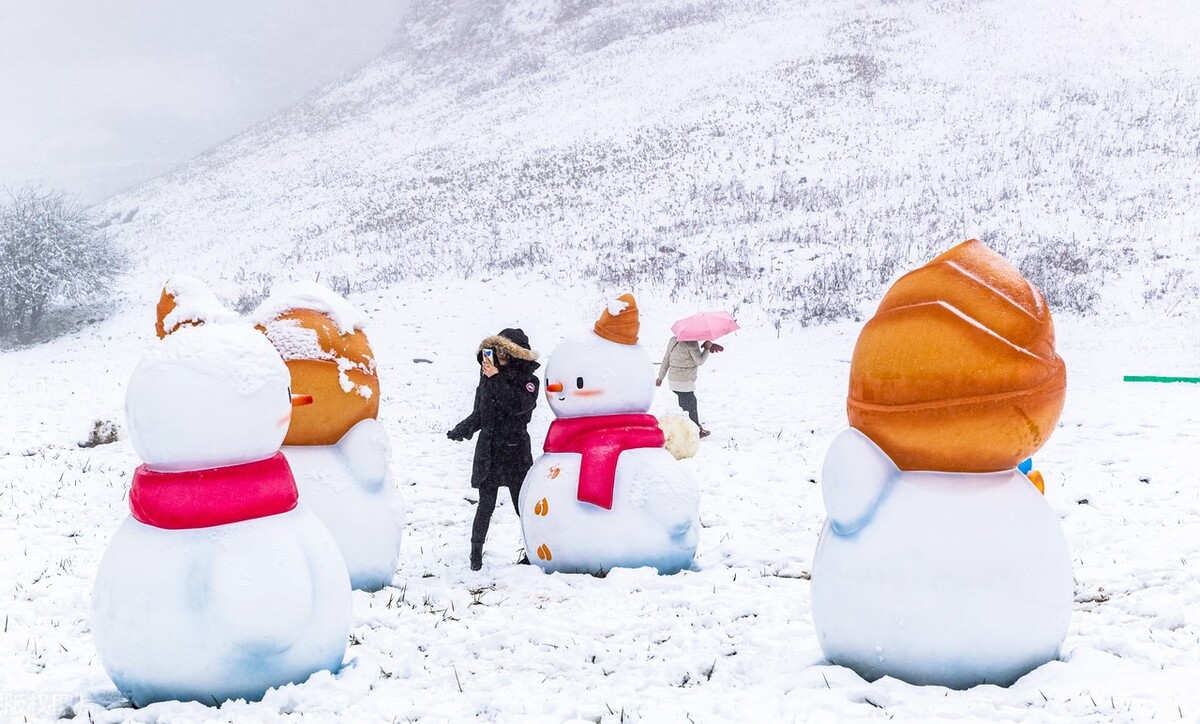 金佛山滑雪旅游攻略2日游,金佛山滑雪跟团攻略