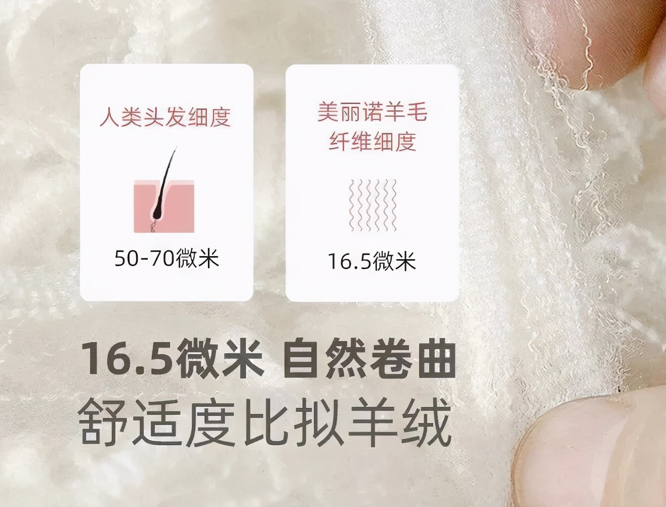 绵羊毛和美丽诺羊毛哪个好,美丽诺羊毛是动物毛吗