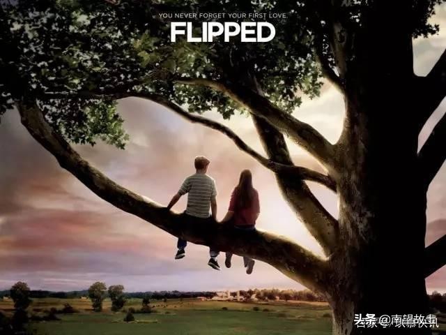 2020豆瓣评分最高的10部国产剧,豆瓣评分最高的十部电视剧