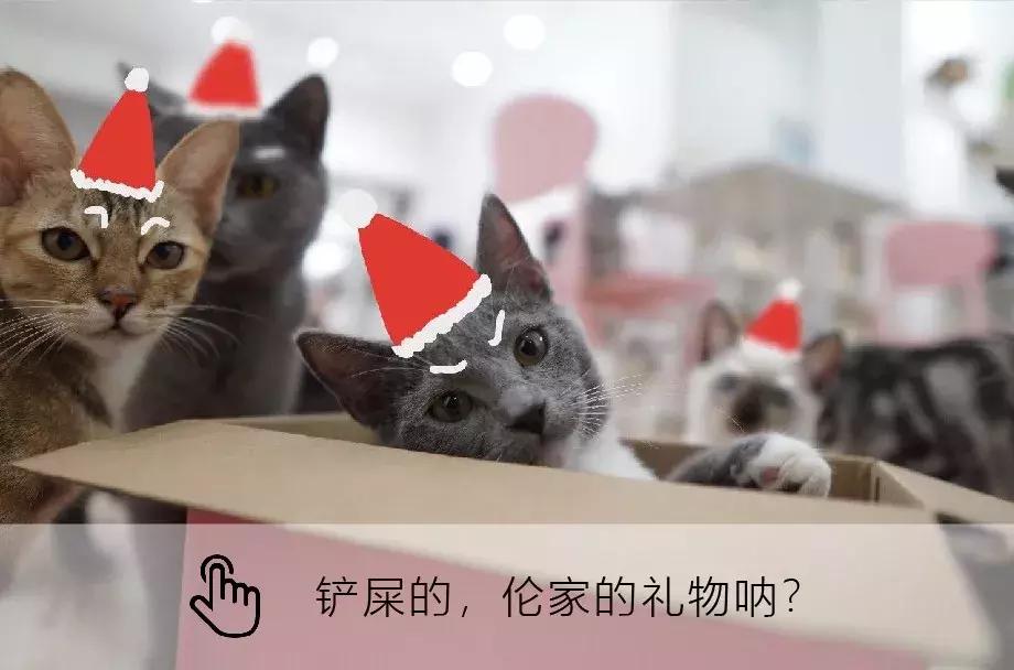 来积分365网，领取专属圣诞礼物！