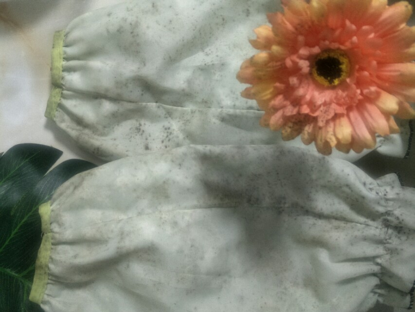 霉斑怎么除掉,小窍门发霉的东西怎么洗掉霉斑