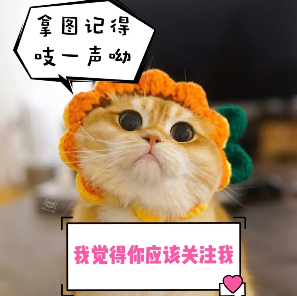 文艺清新的空白背景,清新文艺微信聊天背景图片