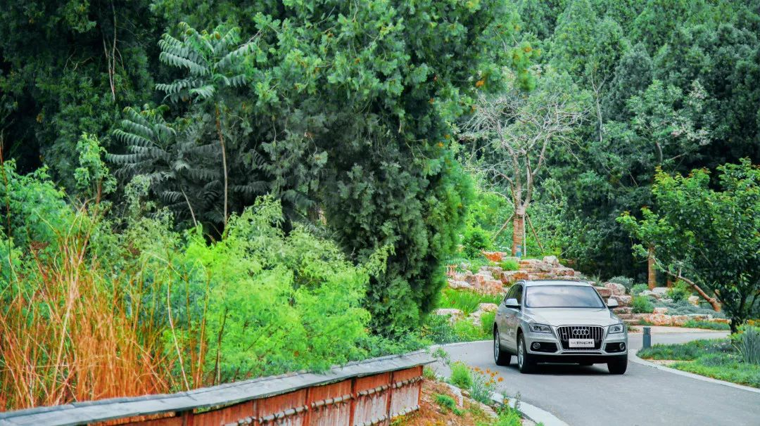 爱车清洗保养视频教程,进气燃油系统清洗多久一次