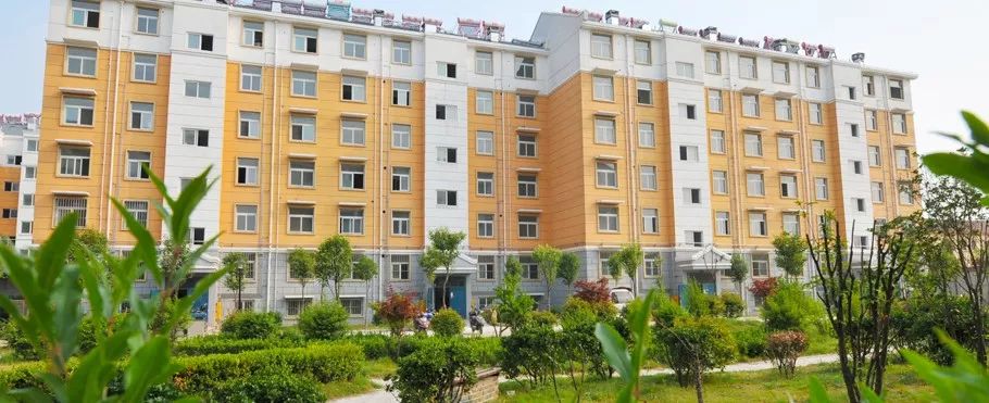 新盛，一个“全能型选手”的徐州进化史