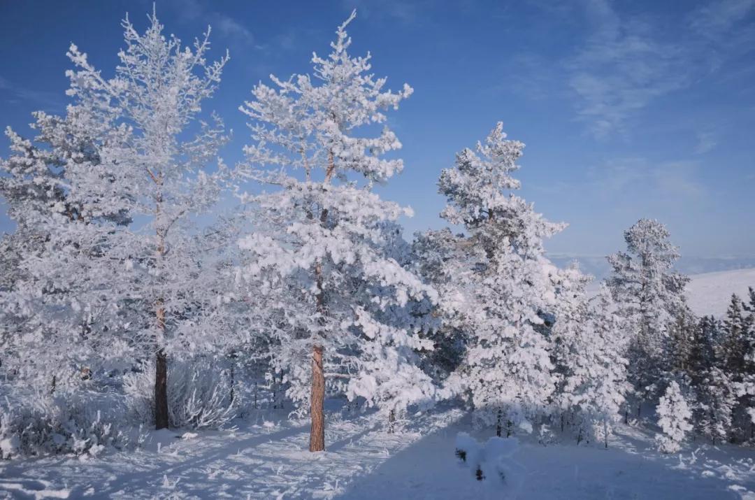 云旅游带你看遍天下美景,一起去旅行吧旅游
