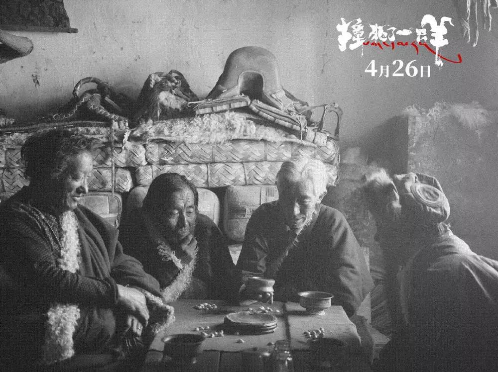 两个金巴其实是一个金巴|撞死了一只羊