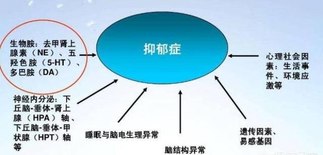 老妈更年期我快疯了,父母都到更年期了怎么办