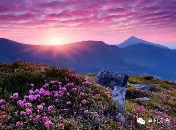 温州二线城市房租吊打一线城市,温州二线城市全景图