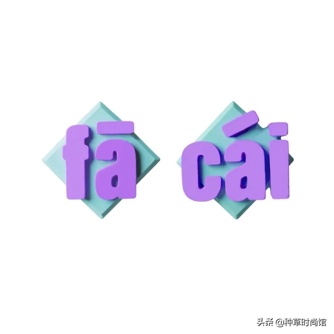 小众饰品店铺,饰品推荐小众高级感店铺