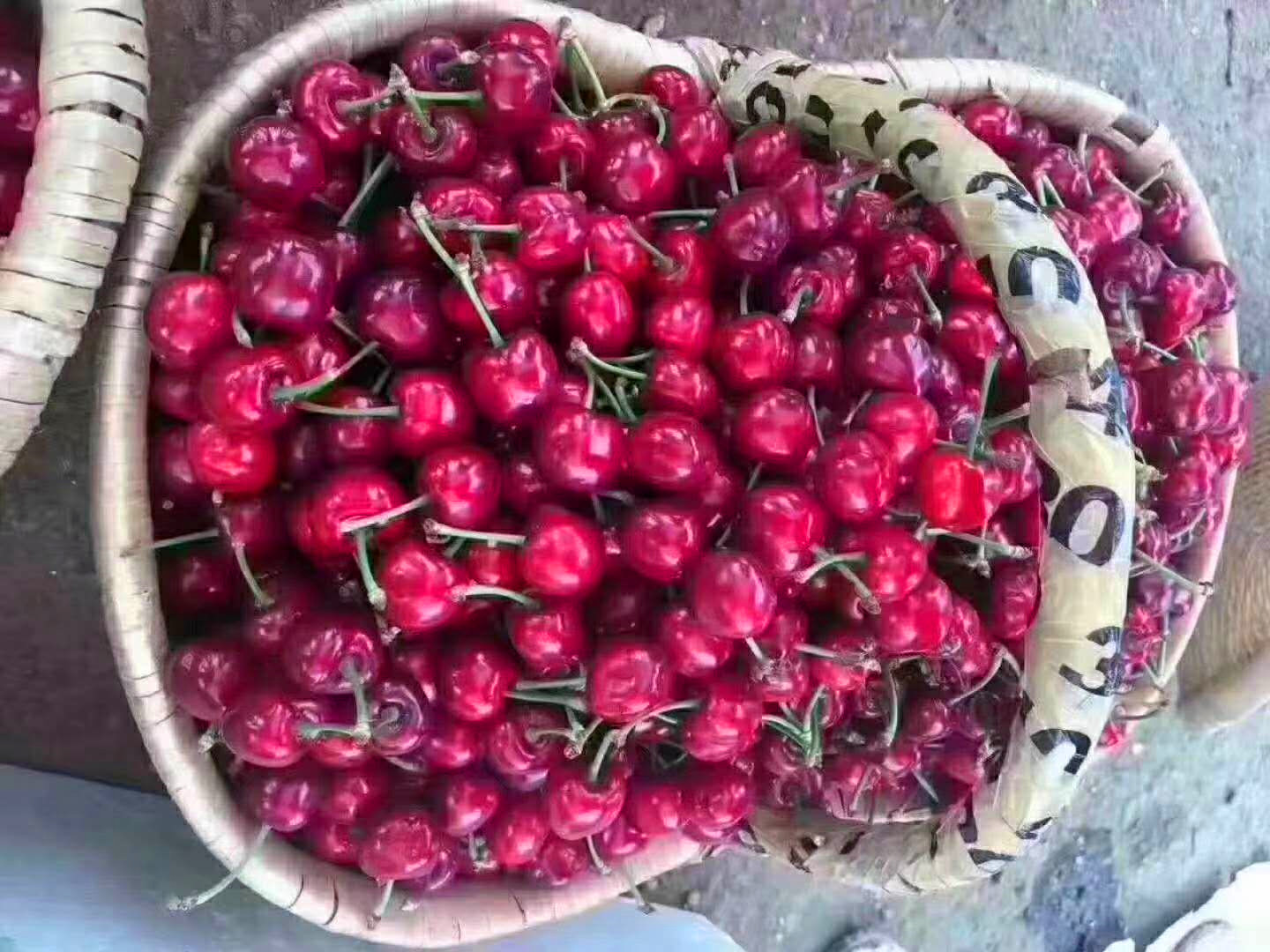 夏天必备的十种果子,夏天必备的10种果子