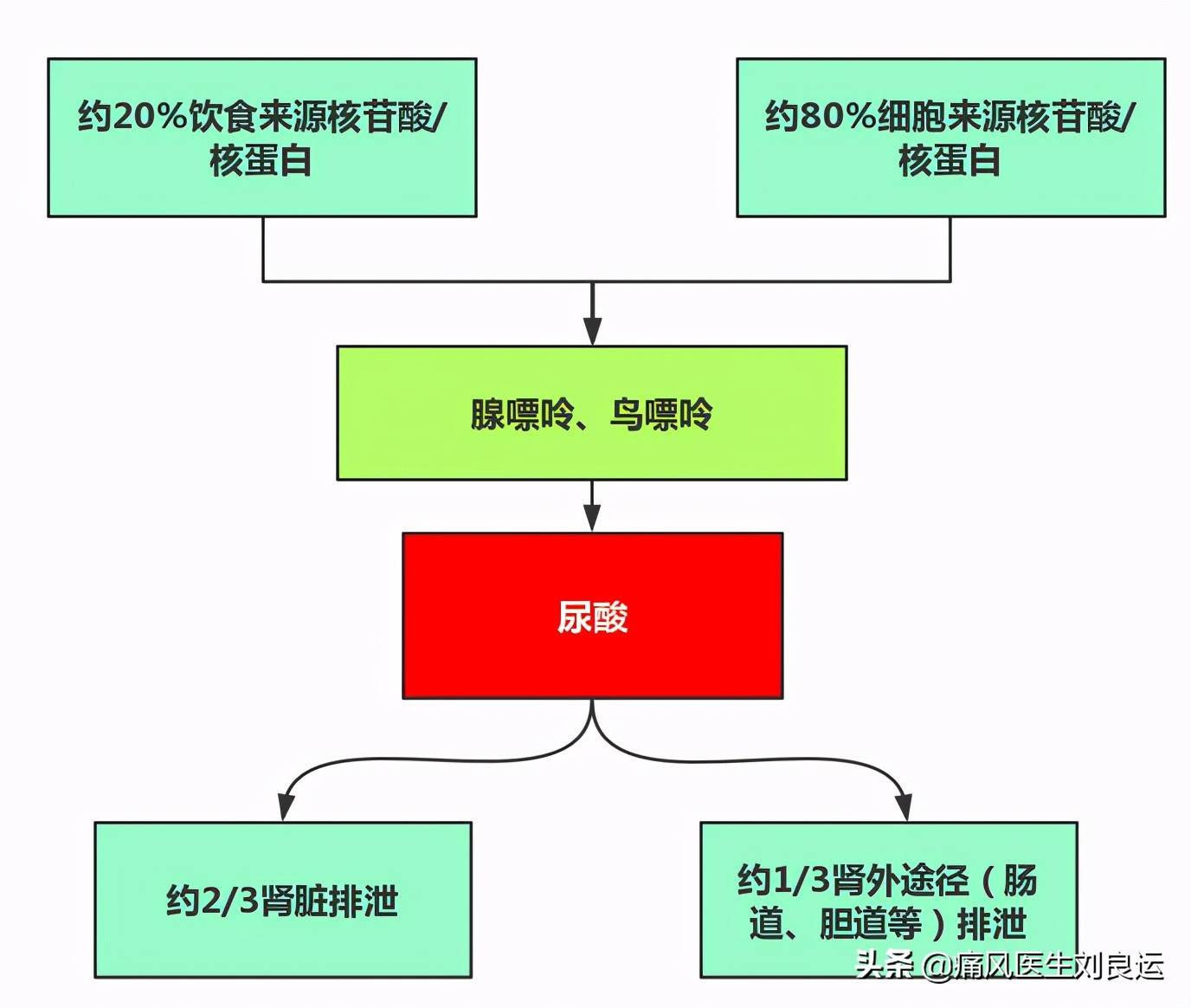 痛风病人海鲜都不能吃吗,高尿酸痛风也能吃的海鲜清单