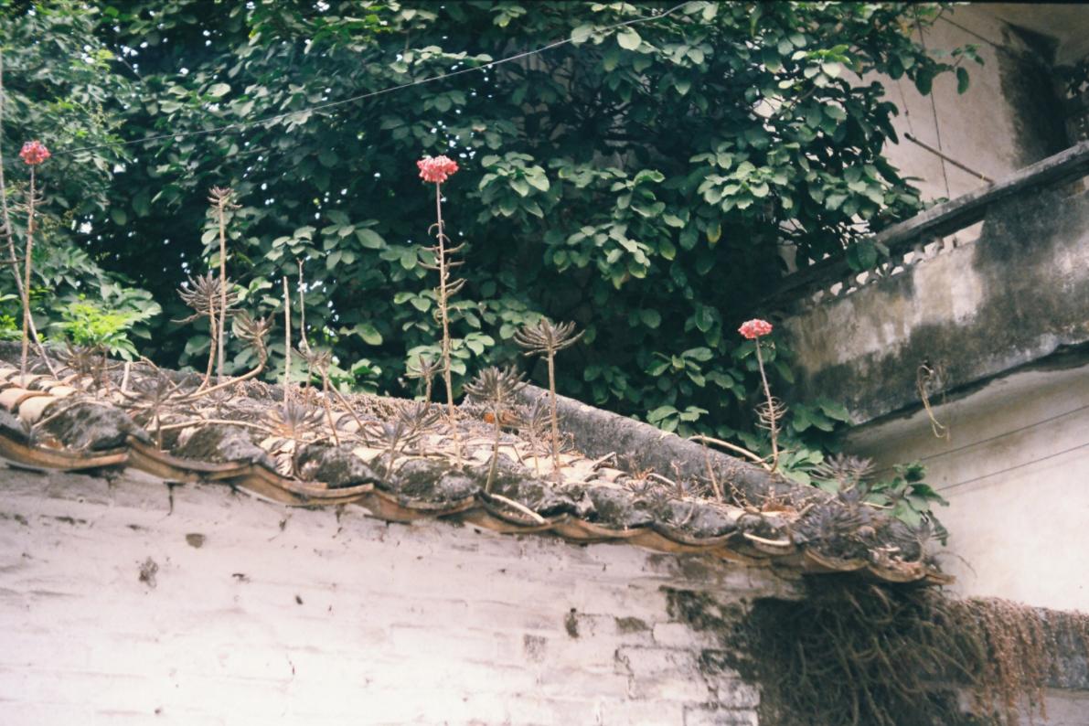 脑回路清奇的段子,脑回路清奇的幽默冷段