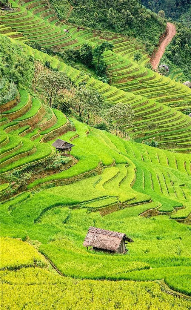 缓解眼睛疲劳壁纸颜色,缓解眼睛疲劳的壁纸高清