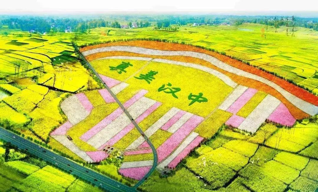 全国油菜花时间表,3月份哪里的油菜花最美