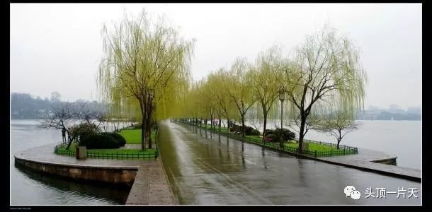 苏轼但愿人长久千里共婵娟故事,苏东坡但愿人长久千里共婵娟朗读