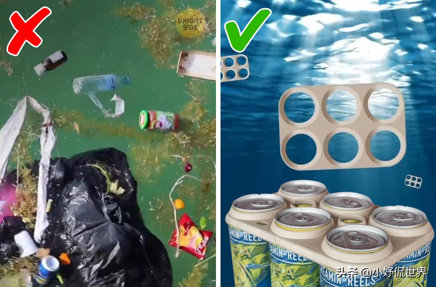 拯救地球环保,环保地球的新发明