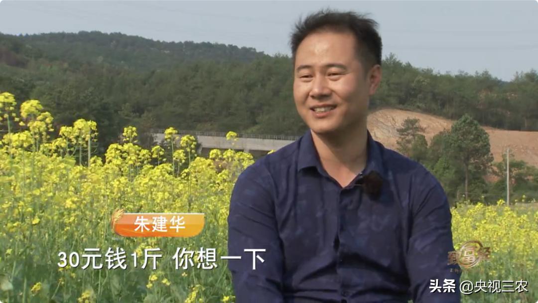 80后小伙返乡创业带着乡亲发羊财,95后小伙半年存款27万