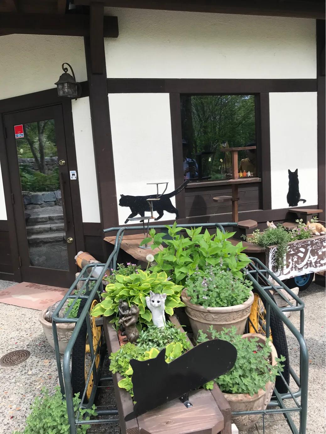 日本疫情举行聚会,日本民众疫情聚会